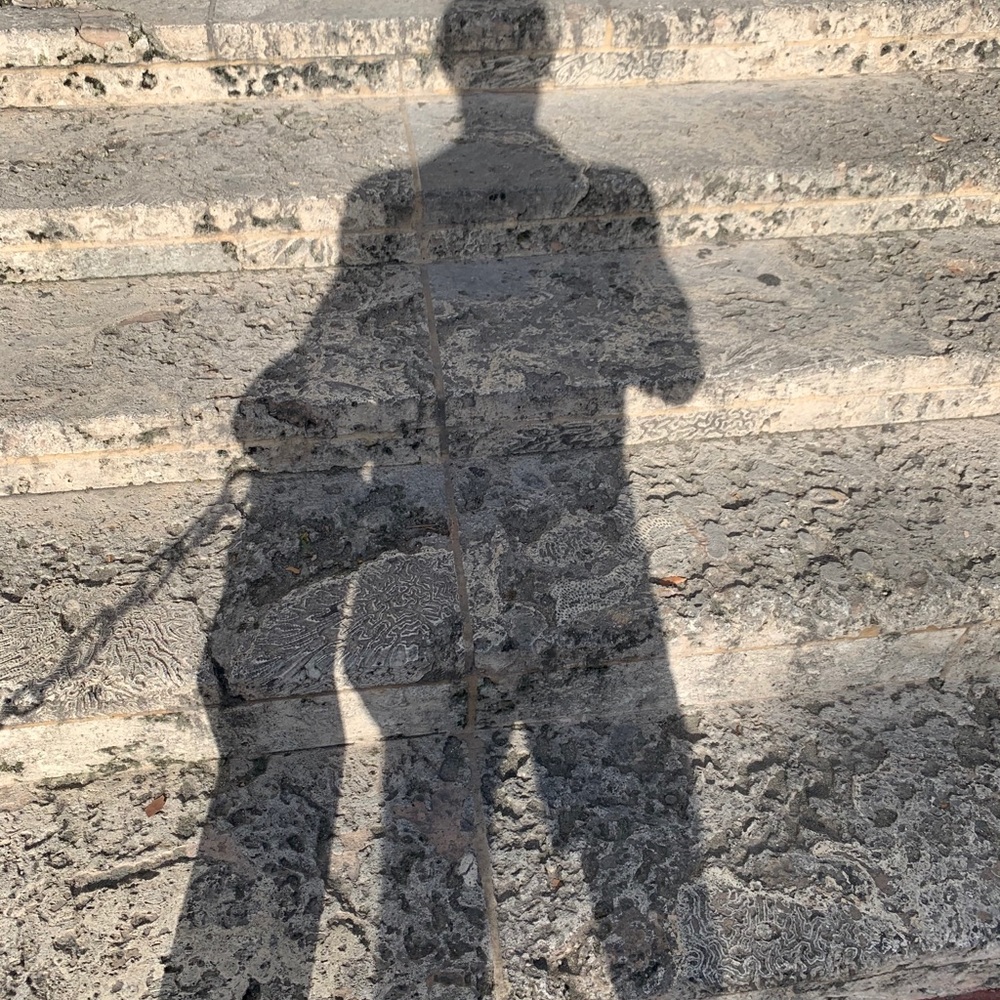 Miami Versace mansion steps / the kings shadow?